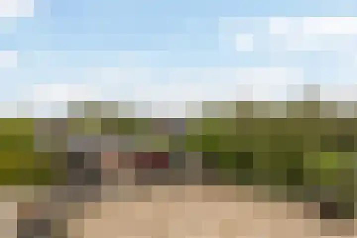 Achterwei 7 Damwâld thumbnail 48