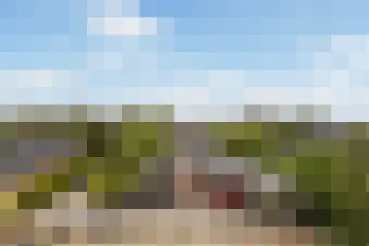 Achterwei 7 Damwâld thumbnail 49