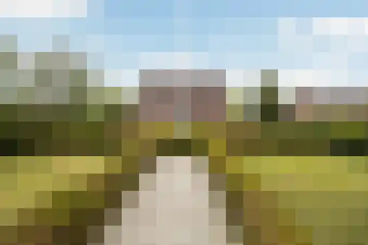 Achterwei 7 Damwâld thumbnail 5
