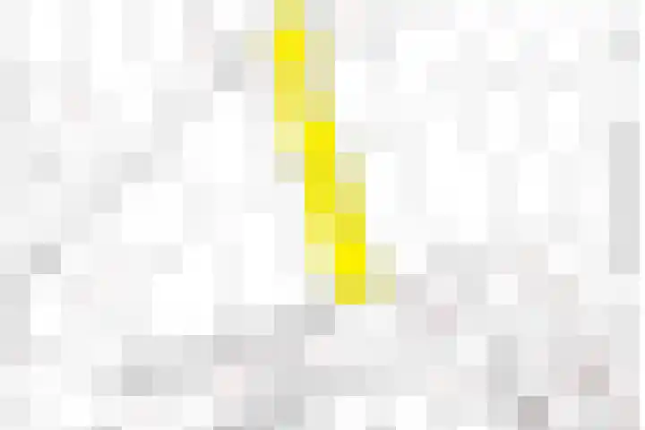 Achterwei 7 Damwâld thumbnail 55