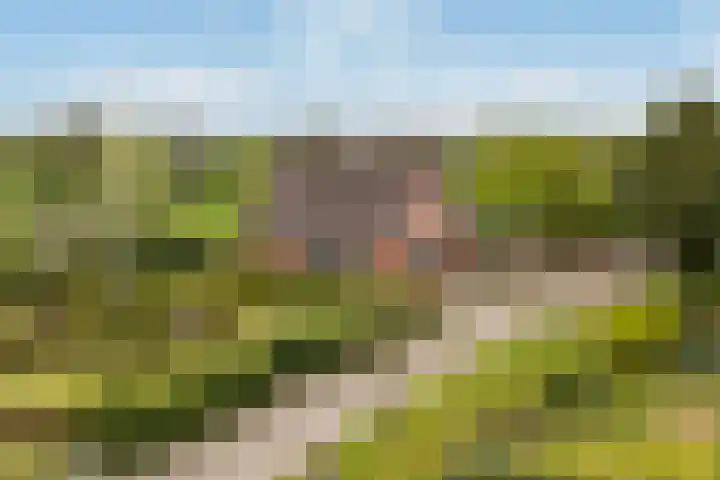 Achterwei 7 Damwâld thumbnail 56