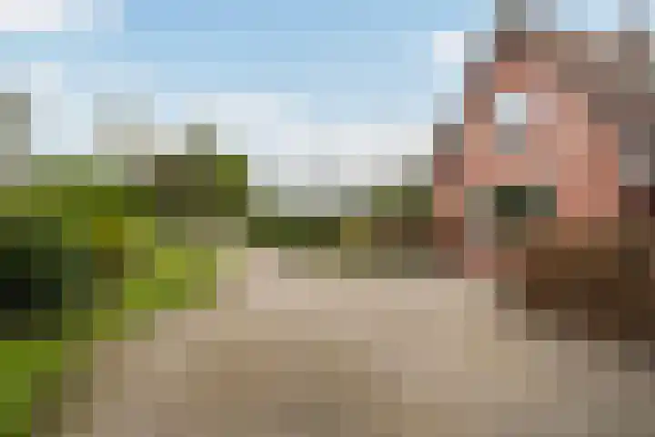 Achterwei 7 Damwâld thumbnail 6
