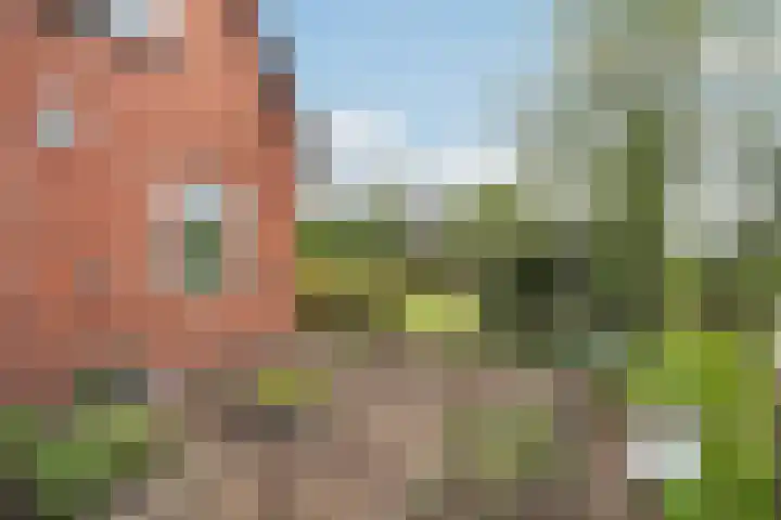 Achterwei 7 Damwâld thumbnail 7