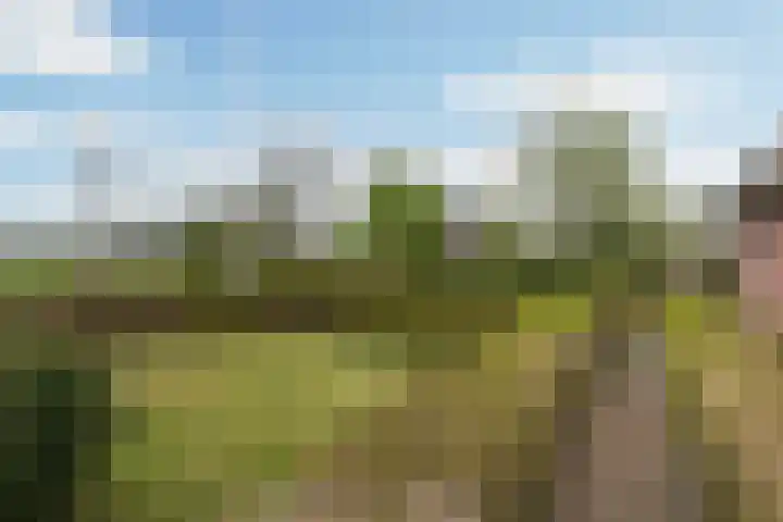 Achterwei 7 Damwâld thumbnail 8