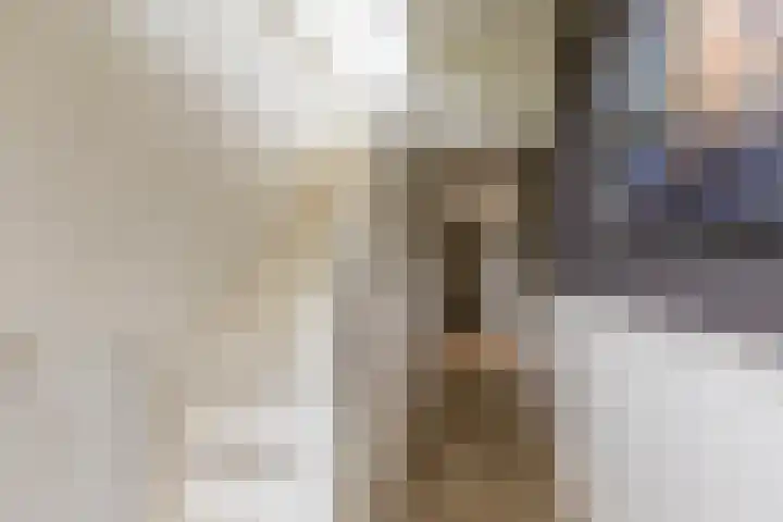Achterwei 8 Sumar thumbnail 10