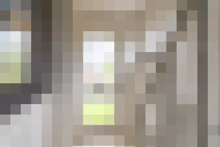 Achterwei 8 Sumar thumbnail 11