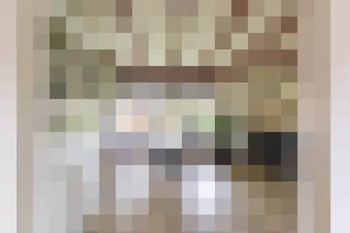 Achterwei 8 Sumar thumbnail 14