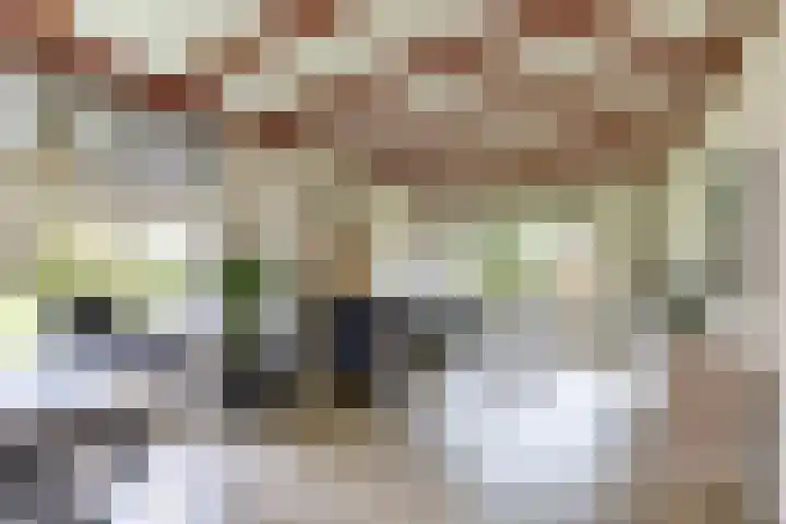 Achterwei 8 Sumar thumbnail 15