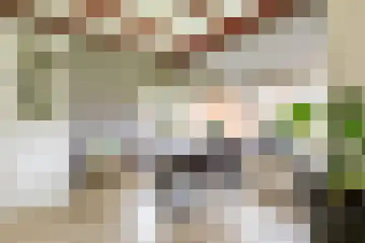 Achterwei 8 Sumar thumbnail 16