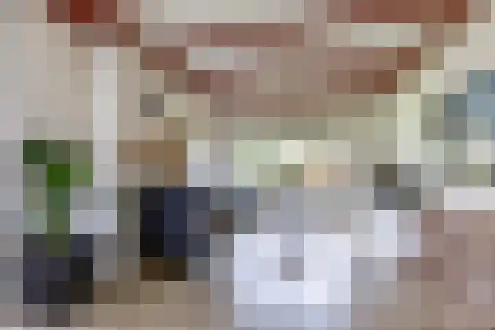 Achterwei 8 Sumar thumbnail 17