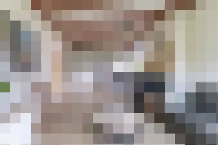 Achterwei 8 Sumar thumbnail 19