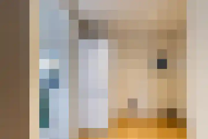 Achterwei 8 Sumar thumbnail 25