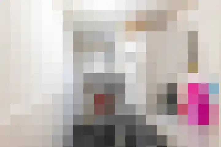 Achterwei 8 Sumar thumbnail 27