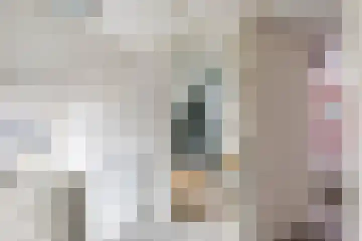 Achterwei 8 Sumar thumbnail 34