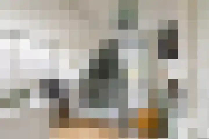 Achterwei 8 Sumar thumbnail 35