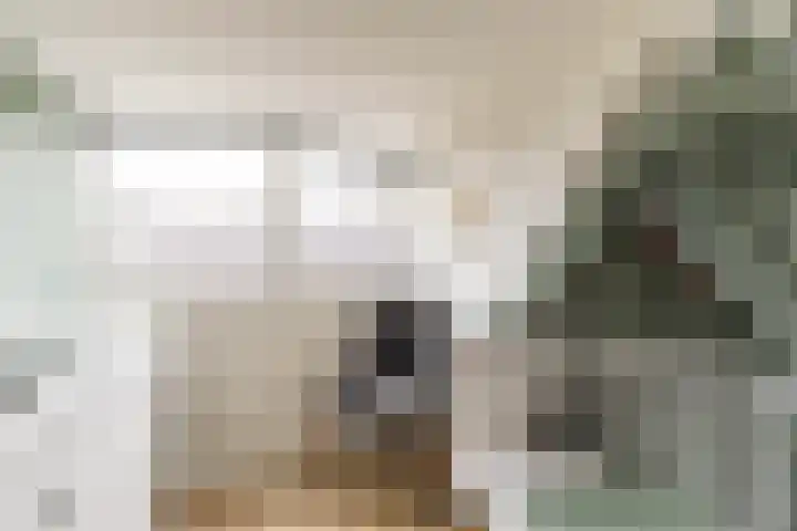 Achterwei 8 Sumar thumbnail 36