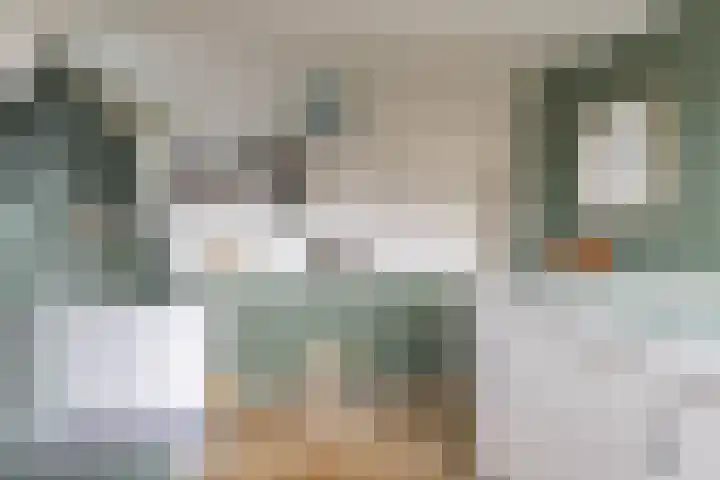 Achterwei 8 Sumar thumbnail 37