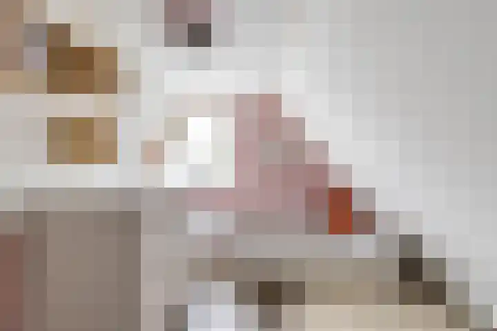 Achterwei 8 Sumar thumbnail 38