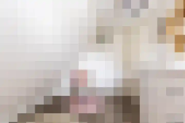 Achterwei 8 Sumar thumbnail 39