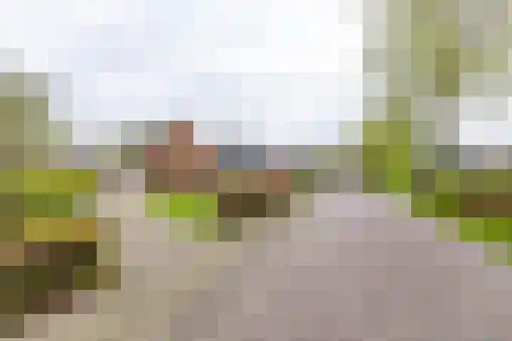 Achterwei 8 Sumar thumbnail 4