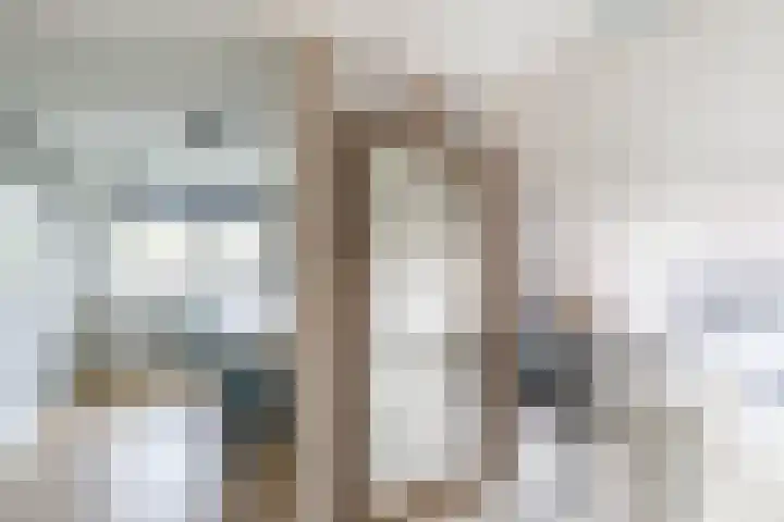 Achterwei 8 Sumar thumbnail 40