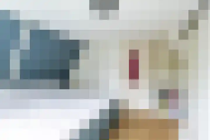 Achterwei 8 Sumar thumbnail 42