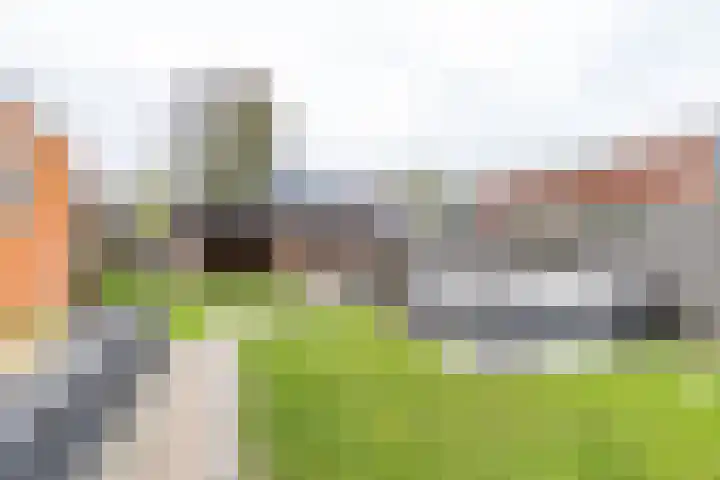 Achterwei 8 Sumar thumbnail 43