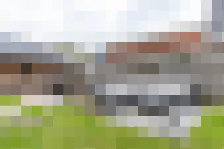 Achterwei 8 Sumar thumbnail 44