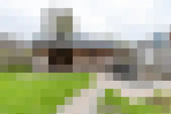 Achterwei 8 Sumar thumbnail 45