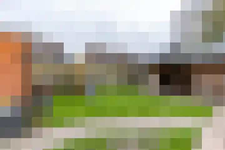 Achterwei 8 Sumar thumbnail 46