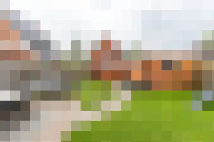 Achterwei 8 Sumar thumbnail 47