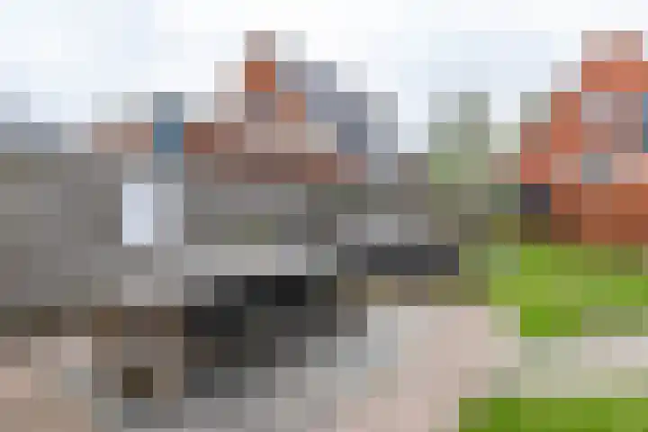 Achterwei 8 Sumar thumbnail 48