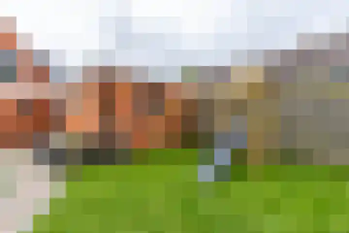 Achterwei 8 Sumar thumbnail 49