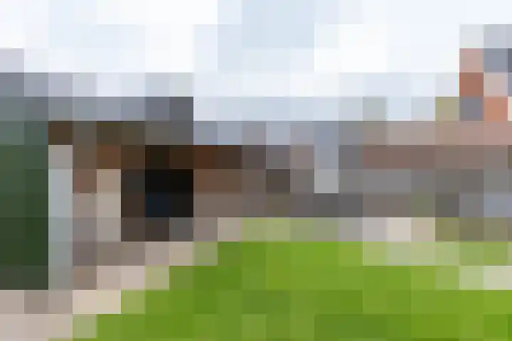 Achterwei 8 Sumar thumbnail 50