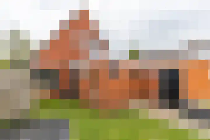 Achterwei 8 Sumar thumbnail 51