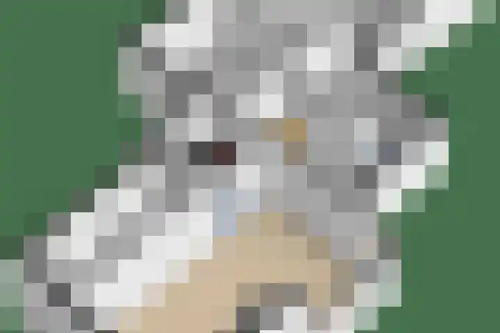 Achterwei 8 Sumar thumbnail 53