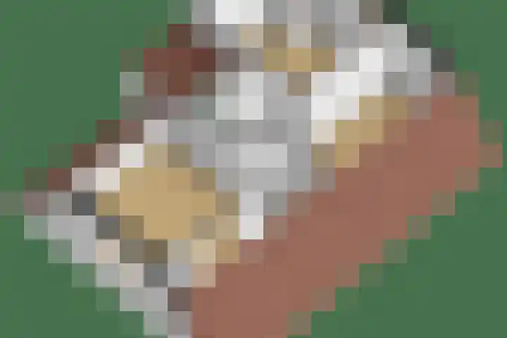 Achterwei 8 Sumar thumbnail 55