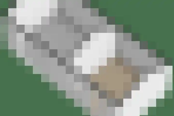 Achterwei 8 Sumar thumbnail 57