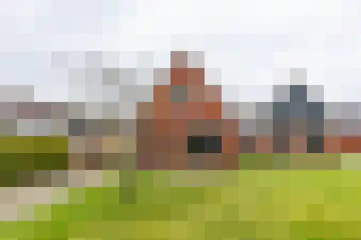 Achterwei 8 Sumar thumbnail 6