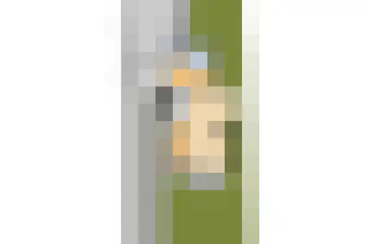 Achterwei 8 Sumar thumbnail 60