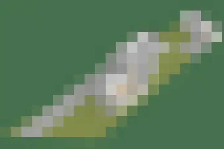 Achterwei 8 Sumar thumbnail 61