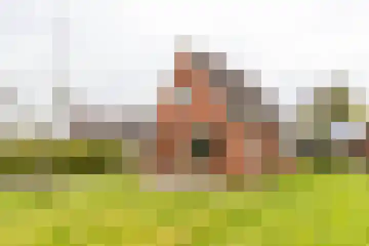 Achterwei 8 Sumar thumbnail 7