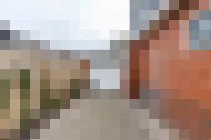 Achterwei 8 Sumar thumbnail 8