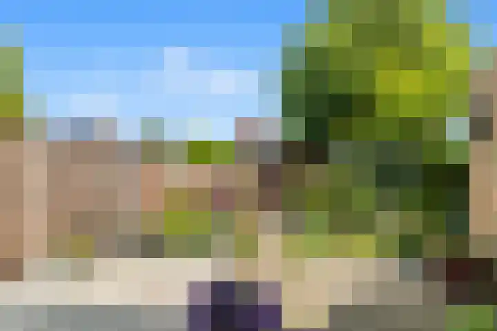 Achterweide 15 Castricum thumbnail 14