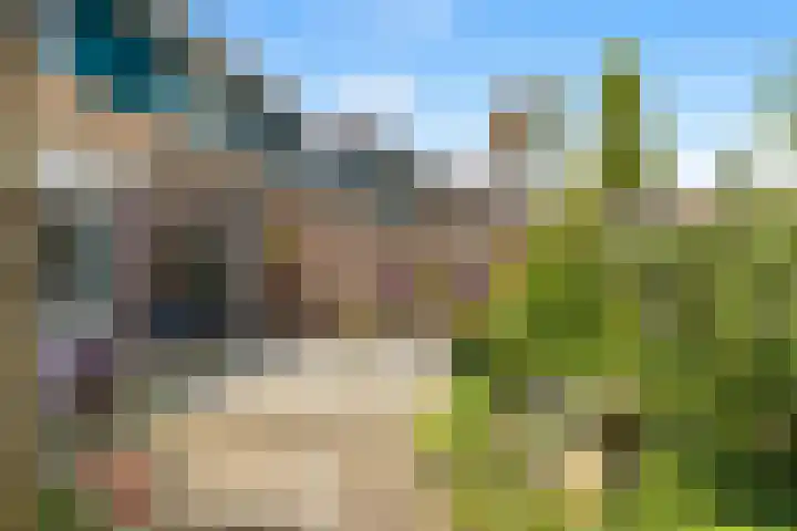 Achterweide 15 Castricum thumbnail 34