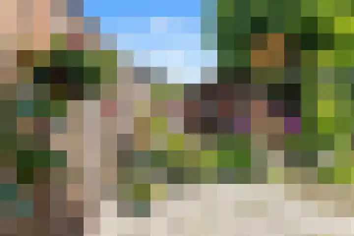 Achterweide 15 Castricum thumbnail 35