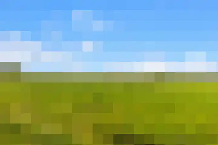 Achterweide 15 Castricum thumbnail 39