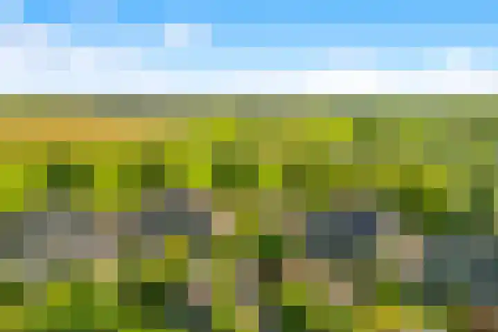 Achterweide 15 Castricum thumbnail 40