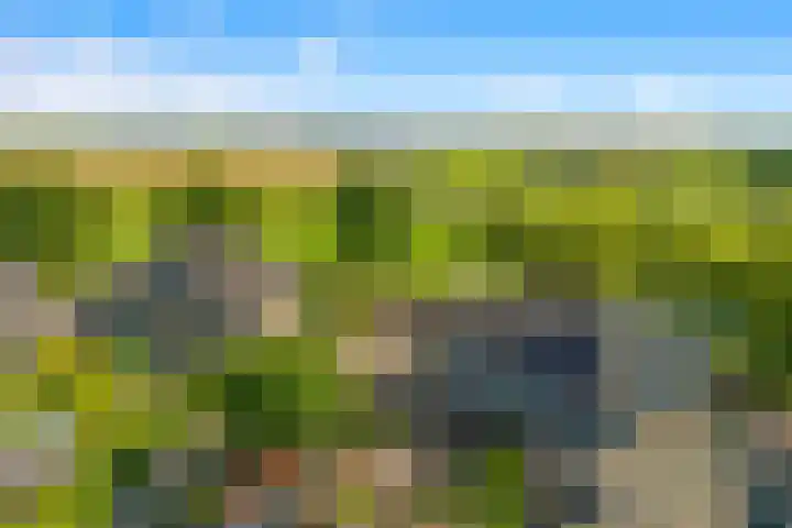 Achterweide 15 Castricum thumbnail 41