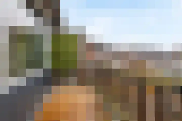 Achterwerf 117 Almere thumbnail 17